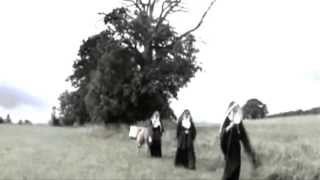 zero-project | the light of truth
