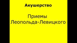 Приемы Леопольда-Левицкого