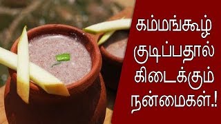 கம்மங்கூழ் குடிப்பதால் கிடைக்கும் நன்மைகள் | health benefits of drinking kambu koozh – Tamil Info