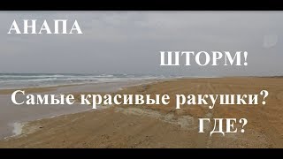 Анапа. Где и когда искать самые красивые ракушки? Прогулка по песчаным пляжам. Шторм!