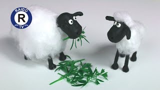 КАК СЛЕПИТЬ ИЗ ПЛАСТИЛИНА БАРАШКА ШОНА? БАРАШЕК ШОН ИЗ ПЛАСТИЛИНА. SHAUN THE SHEEP. | #RAIDOTV