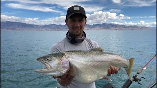 Pyramid lake NV,  Big Cutthroat Trout Fishing