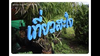 HOTSIA Home stay (บ้านเที่ยวสะใจ) https://th.airbnb.com/rooms/38588132