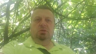 Юзик наш президент,  Зеленский продолжает смешить народ квартал 95