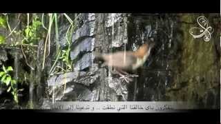 آيات..كلمات وأداء: ناصر السعيد / مونتاج: أمل الحمود HD