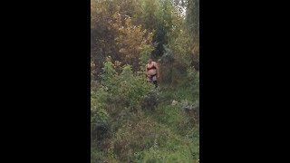 Голый мужчина в женском белье в Бердске