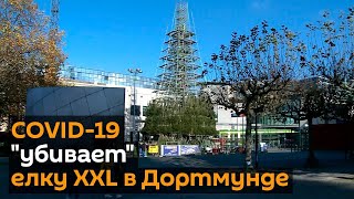 Рождество отменяется? Гигантскую елку разбирают из-за COVID-19