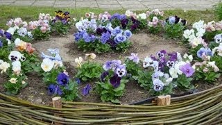 Плетень для клумбы