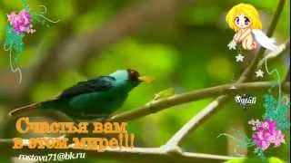 Чарующая мелодия природы.  THE CHARMING MELODY OF NATURE