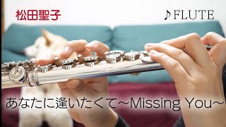 【フルート】あなたに逢いたくて ~Missing You~/松田聖子【演奏してみた】FLUTE