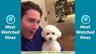 Quincy - All Vines Compilation 2017 Updated