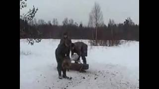 Ржевское охотхозяйство. Биотехнические мероприятия.