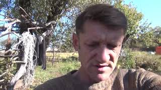 Мой МОЗГ Скушали ГУМАНОИДЫ