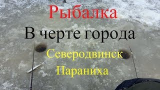 Рыбалка в черте города!!!Параниха  Северодвинск