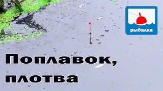 Ловля плотвы на малой реке_отчёт о рыбалке в июле