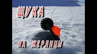 ЖЕРЛИЦЫ НА ЩУКУ на малой речке в начале весны