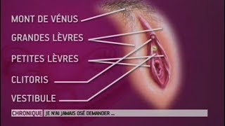 Le complexe de la vulve - Le Magazine de la santé