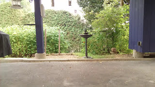 Mon impression de bonheur...(13 à 19)
