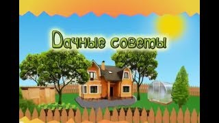 Дачные советы с Галиной Старосельцевой Февраль 08-2018