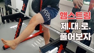 햄스트링 제대로 풀어보자 (허벅지 마사지, 스트레칭 3종)