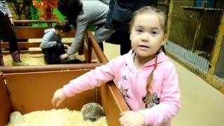 Видео для детей. Куда сходить в Москве. Наш поход в контактный зоопарк. Москва для детей.