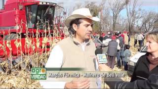 El cabezal maicero MDD 100 de mainero en los campos del Centro y Norte de Córdoba.
