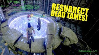 RESURRECT DEAD TAMES! (Official Pvp) - Dark And Light - Ep.10