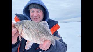 Карася мешок на мормышку в феврале! Супер рыбалка. оз.Уелги.