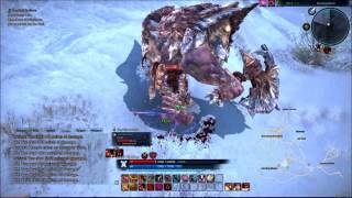 TERA Online - Warrior Vs Icereaver Giant
