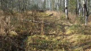 г. Артемовск, Курагинский район