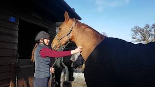 Equilibrium Therapy Magnetic Chaps  - A review by Daisy Coakley