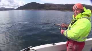 Super Seelachsdrill mit Seelachskiller