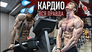 ЛУЧШЕЕ КАРДИО для СЖИГАНИЯ ЖИРА в МЫШЦЫ (Как Убрать Живот и Бока за 1 ДЕНЬ !!?)