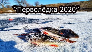 Перволёдка или глухозимье 2020! Окунь на мормышку.(Сумская обл.)