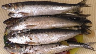 СЕЛЬДЬ ИВАСИ, малосольная сардина, как в банках с магазина.
