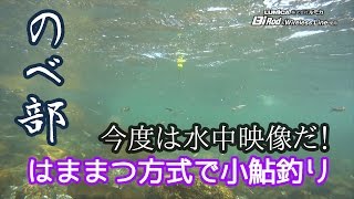 2016小鮎最前線 最新コアユ釣り 後編   今度は水中映像だ！【のべ部】