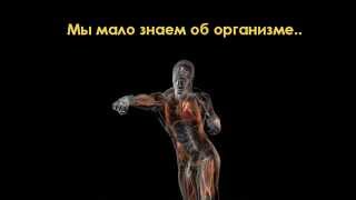 Анатомия строение мышц человека. Принцип работы мышц и их виды