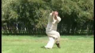 Meihua Tanglang Quan