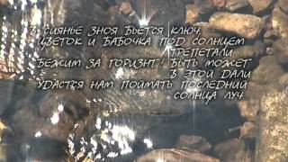 Цветы Зла. Шарль Бодлер