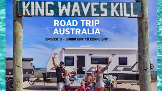 SHARK BAY TO CORAL BAY | OUTBACK BATHS | SHARK FRENZY | RED BLUFF | ROADTRIP AUSTRALIA EP. 9 |