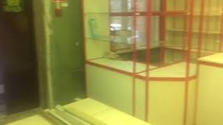 Павлово на Неве
