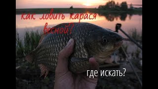 Карась как ловить весной?Где искать?На что ловить?Когда нерест у карася?