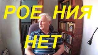 Пчёлы семьи не роятся.Универсальный метод борьбы с роением пчела семей