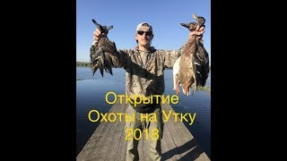 Охота на утку 2018/ открытие охоты