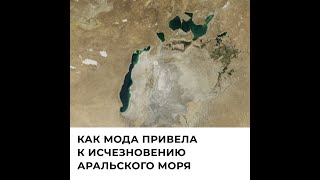 Почему высохло Аральское море