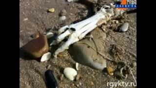 Чудовище Каспийского моря (Caspian Sea Monster)