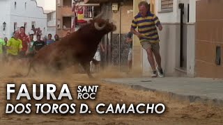 FAURA / IMÁGENES INÉDITAS DE ESTOS DOS AUTÉNTICOS TOROS DESCOMUNALES 16/08/2016