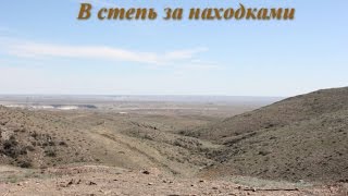 Что можно найти в степи?