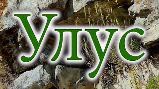 Фильм «Улус» (Горная Шория)