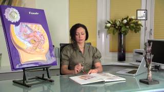 Afham TV With Alyaa Gad | The Hymen غشاء البكارة